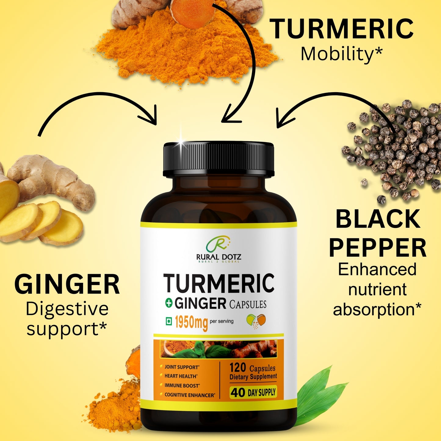 TURMERIC GINGER CAPSULES (120 Count)
