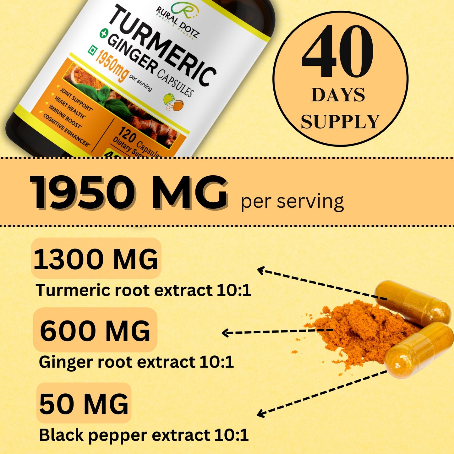 TURMERIC GINGER CAPSULES (120 Count)