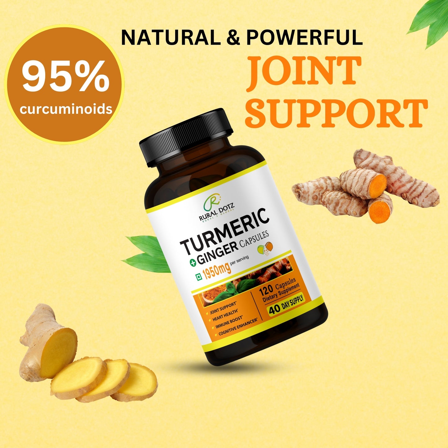 TURMERIC GINGER CAPSULES (120 Count)