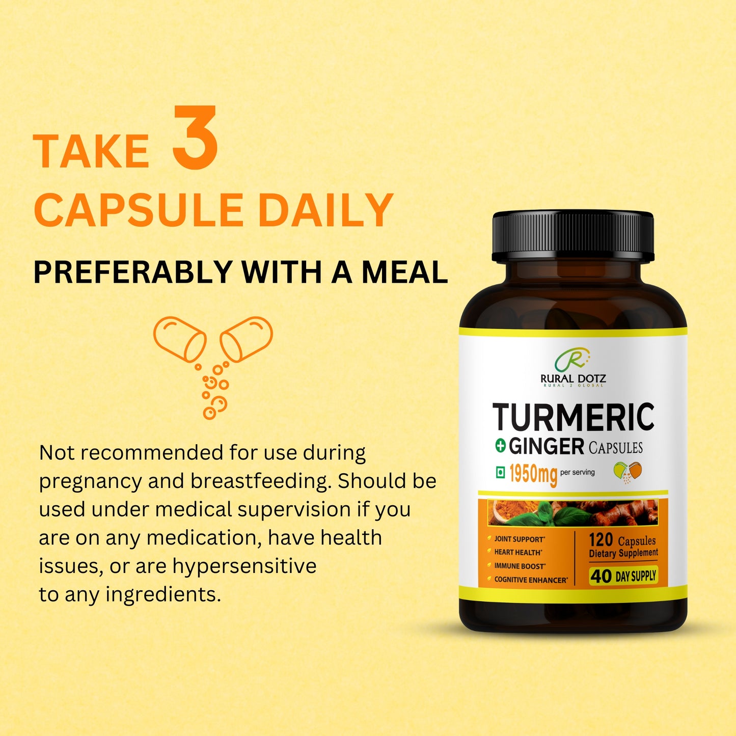 TURMERIC GINGER CAPSULES (120 Count)