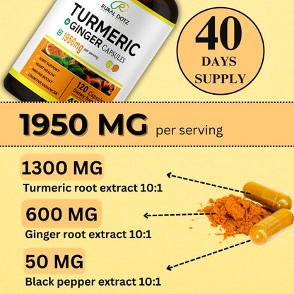 TURMERIC GINGER CAPSULES (120 Count)