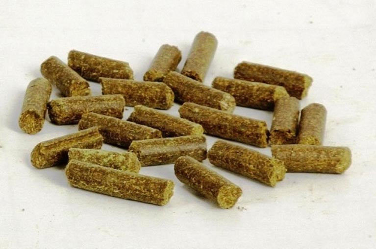 Pure Moringa Pellets