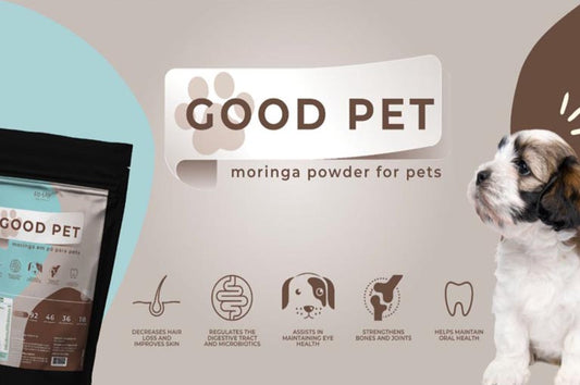 Moringa Pet Food