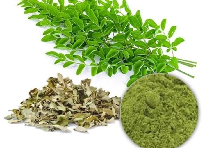 Moringa Leaf Extract