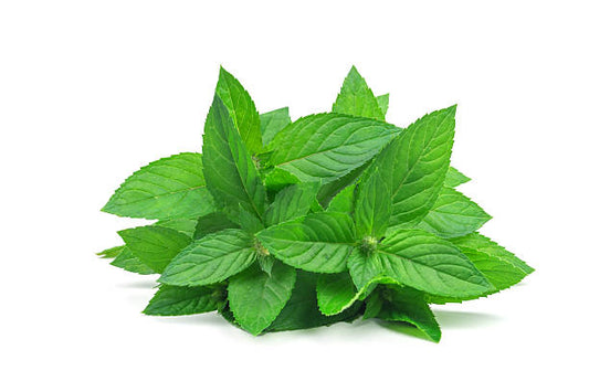 Spearmint